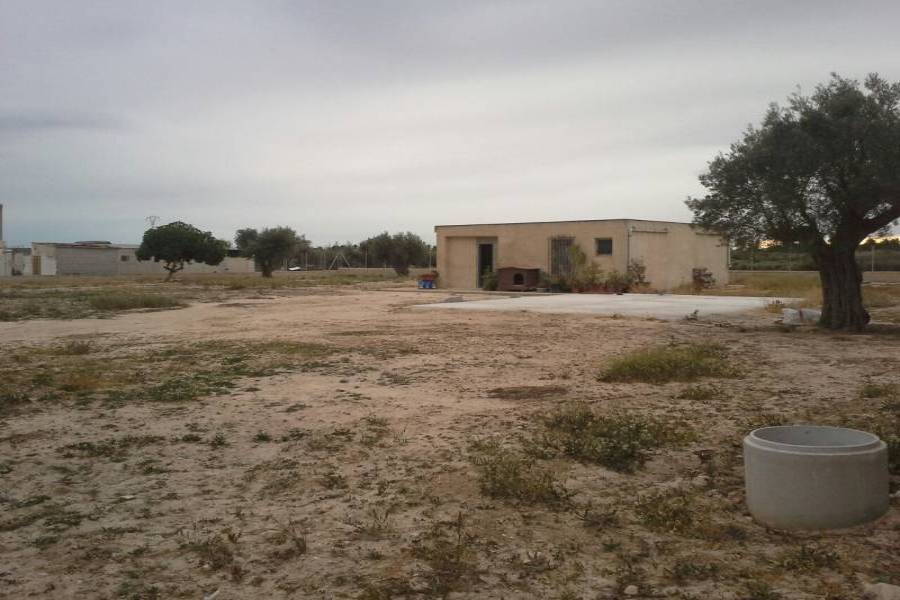 Elche,Alicante,España,3 Bedrooms Bedrooms,1 BañoBathrooms,Casas,33965