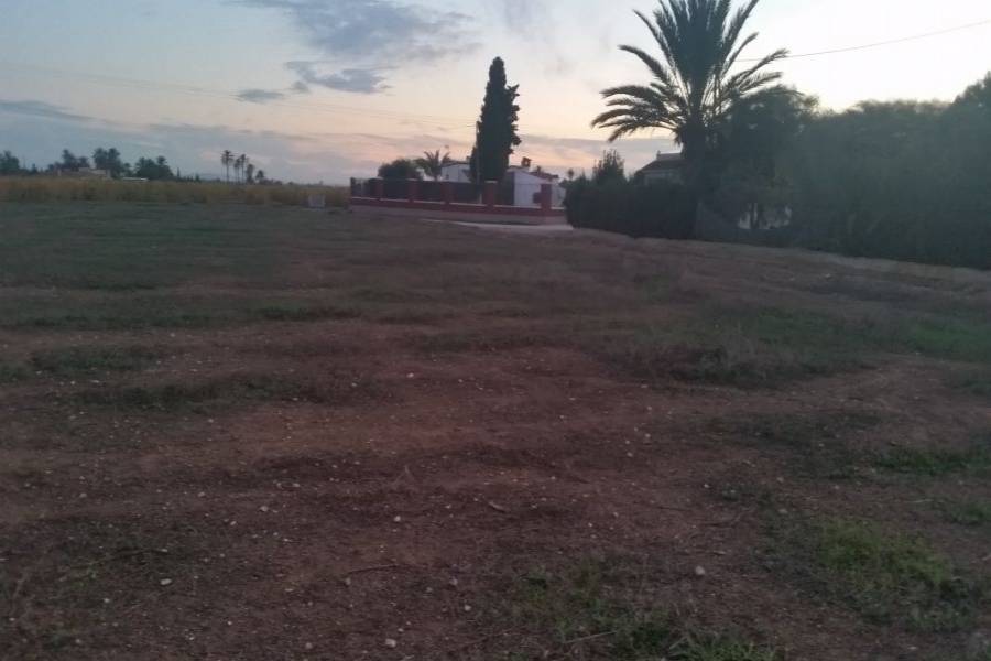 Elche,Alicante,España,Lotes-Terrenos,33968
