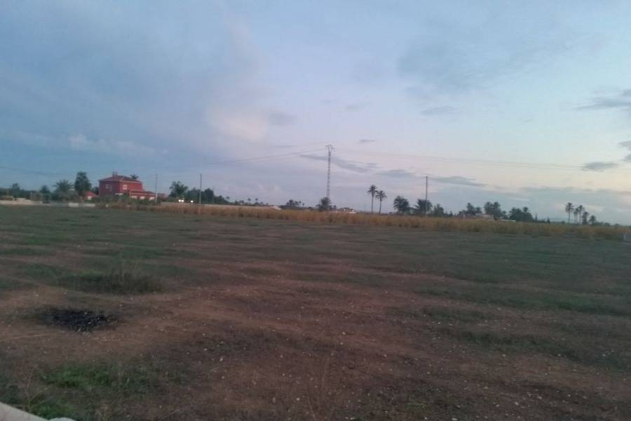 Elche,Alicante,España,Lotes-Terrenos,33968