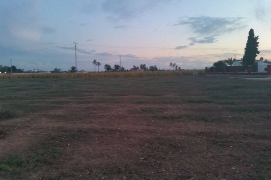 Elche,Alicante,España,Lotes-Terrenos,33968