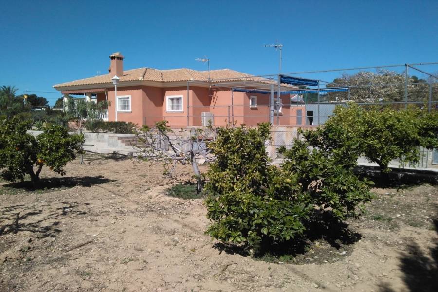 Elche,Alicante,España,4 Bedrooms Bedrooms,2 BathroomsBathrooms,Casas,33977