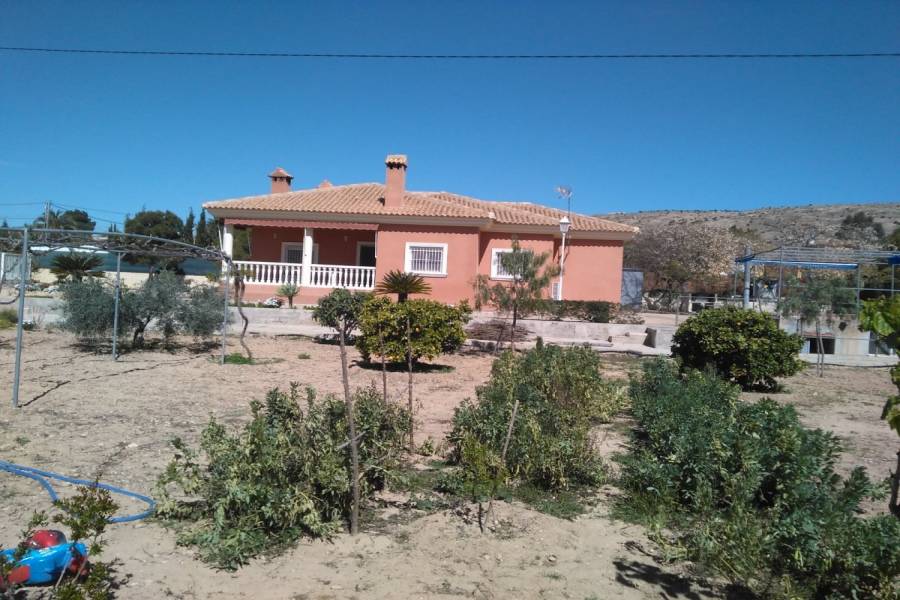 Elche,Alicante,España,4 Bedrooms Bedrooms,2 BathroomsBathrooms,Casas,33977