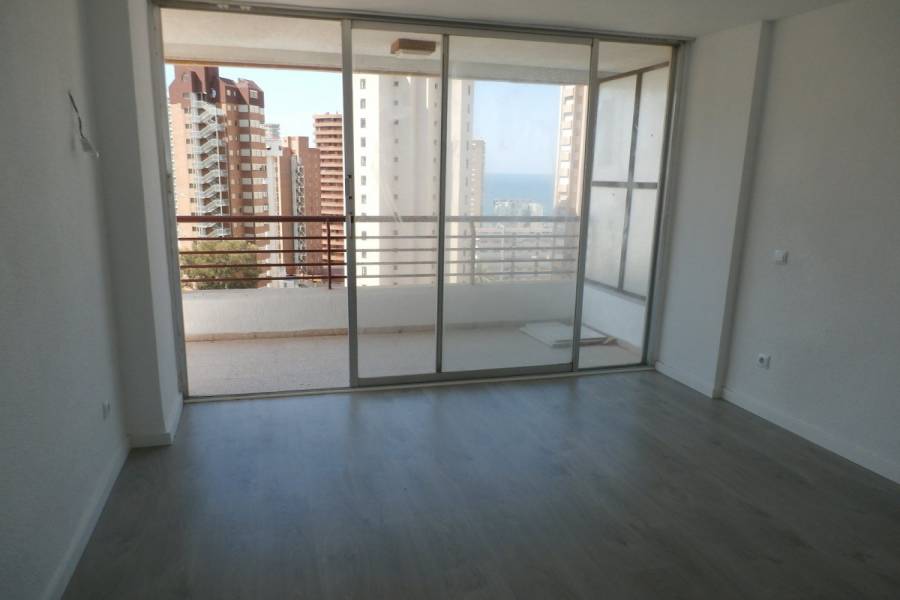 Benidorm,Alicante,España,1 Dormitorio Bedrooms,1 BañoBathrooms,Apartamentos,33992