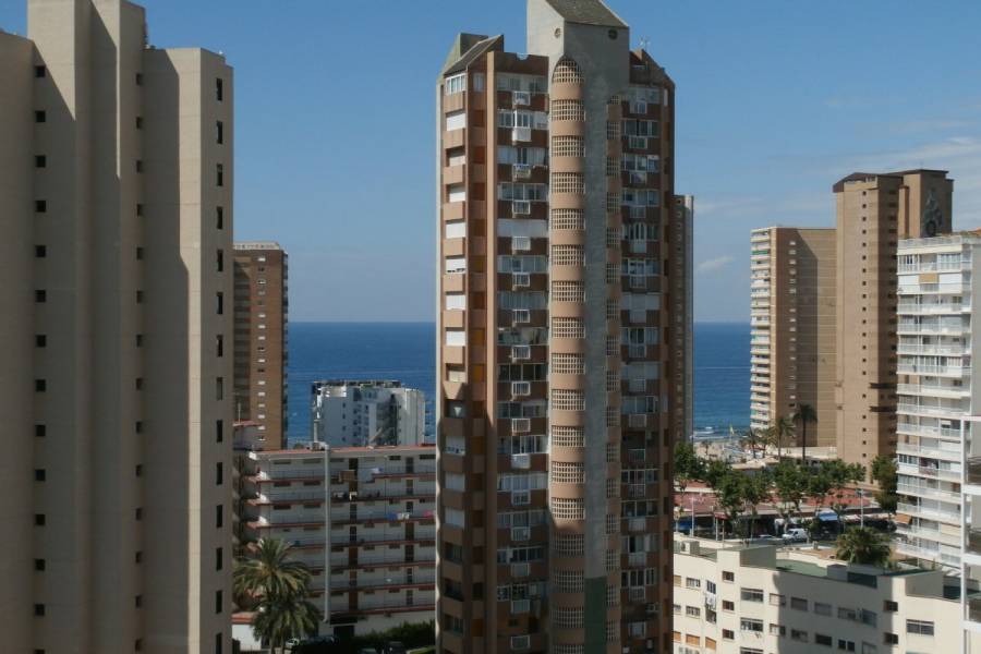 Benidorm,Alicante,España,1 Dormitorio Bedrooms,1 BañoBathrooms,Apartamentos,33992