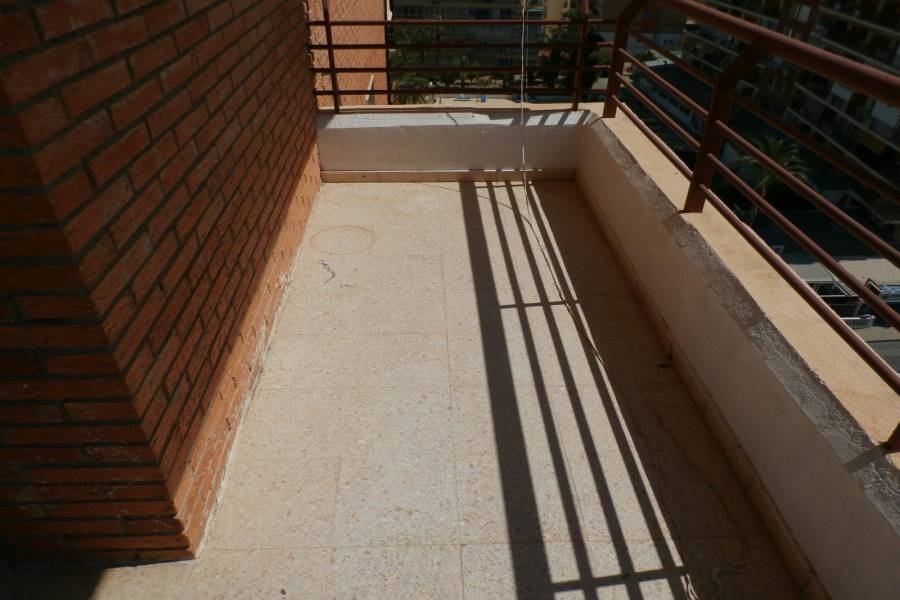 Benidorm,Alicante,España,1 Dormitorio Bedrooms,1 BañoBathrooms,Apartamentos,33992