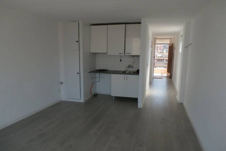 Benidorm,Alicante,España,1 Dormitorio Bedrooms,1 BañoBathrooms,Apartamentos,33992