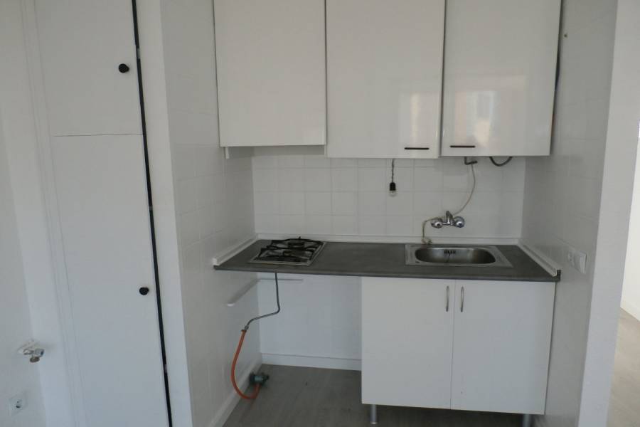 Benidorm,Alicante,España,1 Dormitorio Bedrooms,1 BañoBathrooms,Apartamentos,33992