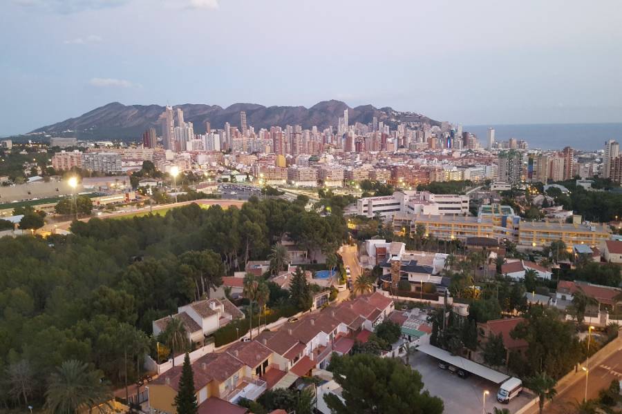 Benidorm,Alicante,España,1 Dormitorio Bedrooms,1 BañoBathrooms,Apartamentos,33997