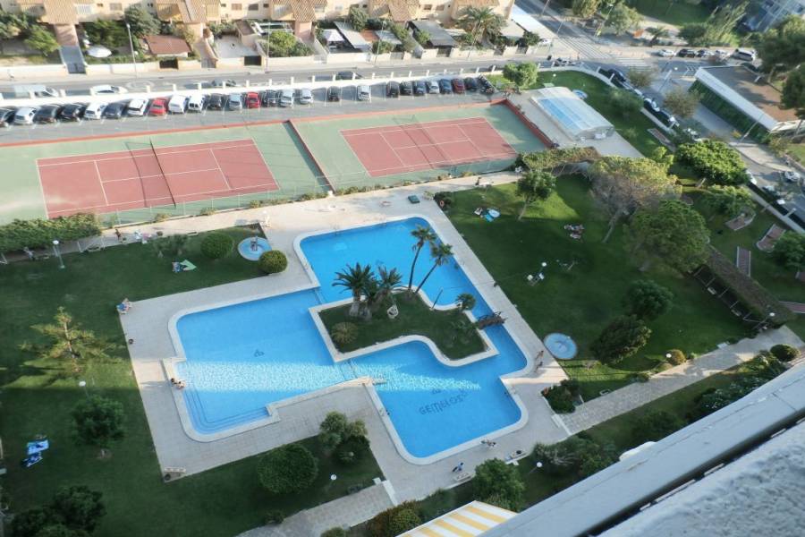 Benidorm,Alicante,España,1 Dormitorio Bedrooms,1 BañoBathrooms,Apartamentos,33999