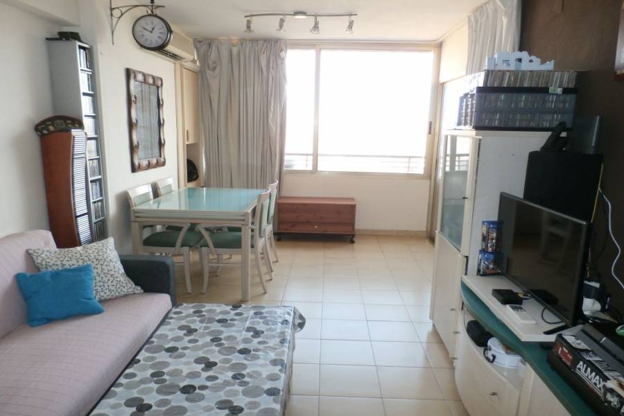 Benidorm,Alicante,España,1 Dormitorio Bedrooms,1 BañoBathrooms,Apartamentos,33999
