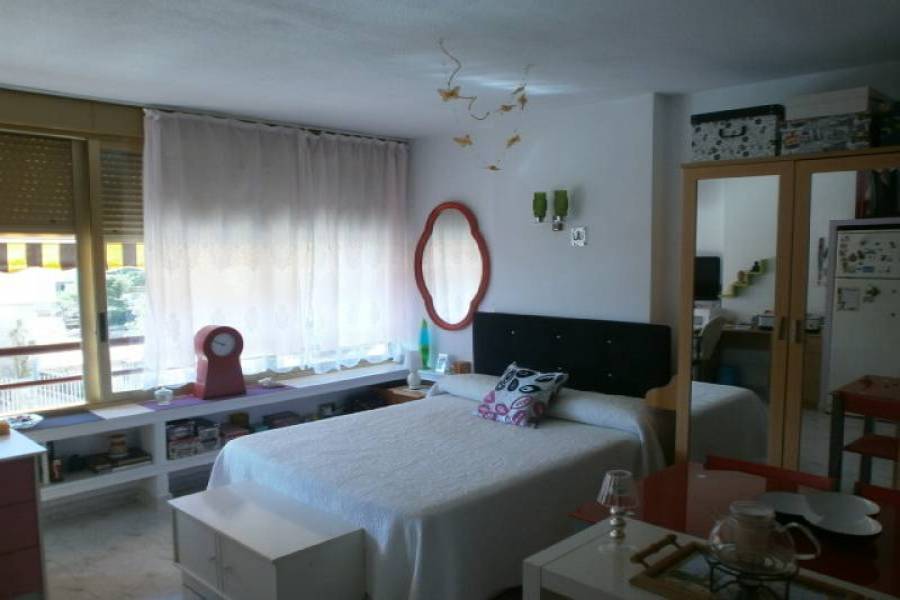 Benidorm,Alicante,España,1 Dormitorio Bedrooms,1 BañoBathrooms,Apartamentos,34013