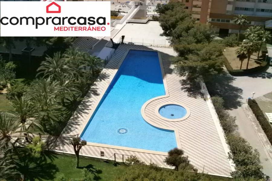 Benidorm,Alicante,España,1 Dormitorio Bedrooms,1 BañoBathrooms,Apartamentos,34021