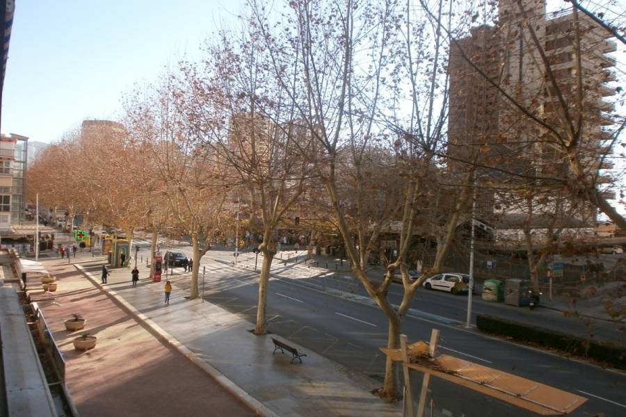 Benidorm,Alicante,España,2 Bedrooms Bedrooms,1 BañoBathrooms,Apartamentos,34044