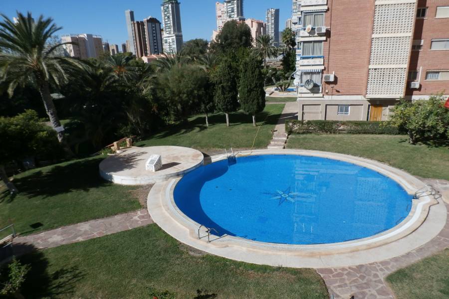 Benidorm,Alicante,España,1 Dormitorio Bedrooms,1 BañoBathrooms,Apartamentos,34047