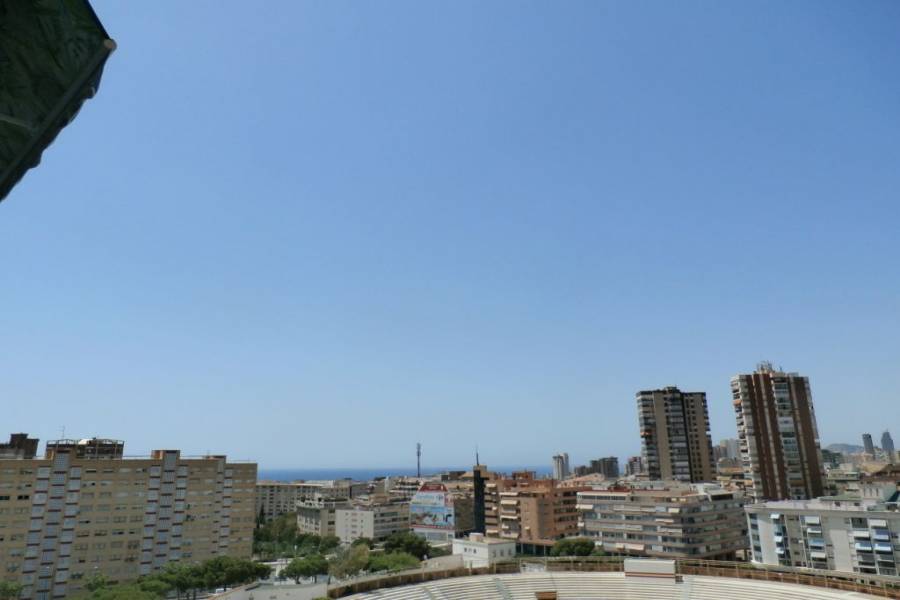 Benidorm,Alicante,España,1 Dormitorio Bedrooms,1 BañoBathrooms,Apartamentos,34050