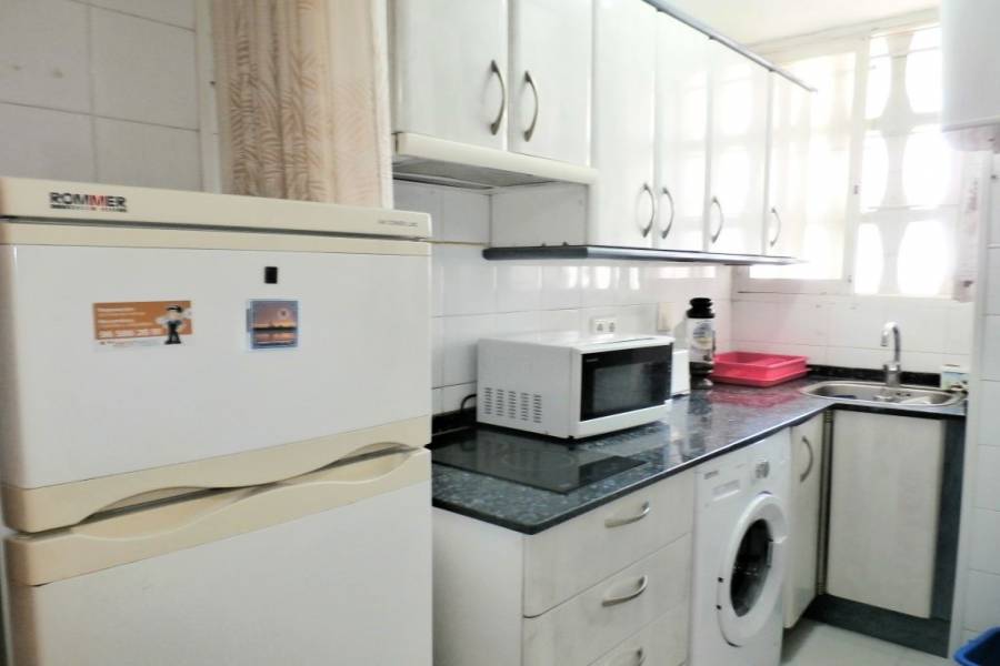 Benidorm,Alicante,España,1 Dormitorio Bedrooms,1 BañoBathrooms,Apartamentos,34050
