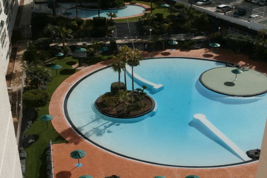 Benidorm,Alicante,España,1 Dormitorio Bedrooms,1 BañoBathrooms,Apartamentos,34057