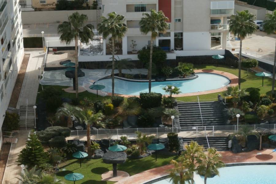 Benidorm,Alicante,España,1 Dormitorio Bedrooms,1 BañoBathrooms,Apartamentos,34057