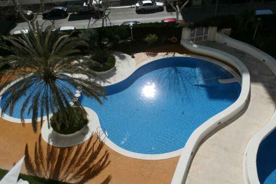 Benidorm,Alicante,España,1 Dormitorio Bedrooms,1 BañoBathrooms,Apartamentos,34059