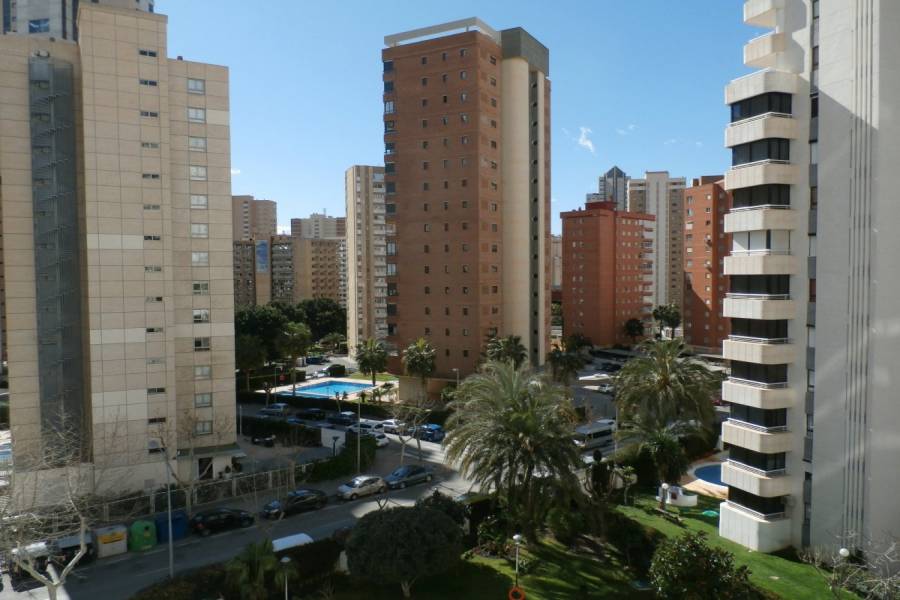 Benidorm,Alicante,España,1 Dormitorio Bedrooms,1 BañoBathrooms,Apartamentos,34059