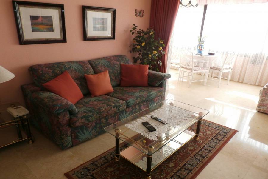 Benidorm,Alicante,España,1 Dormitorio Bedrooms,1 BañoBathrooms,Apartamentos,34059