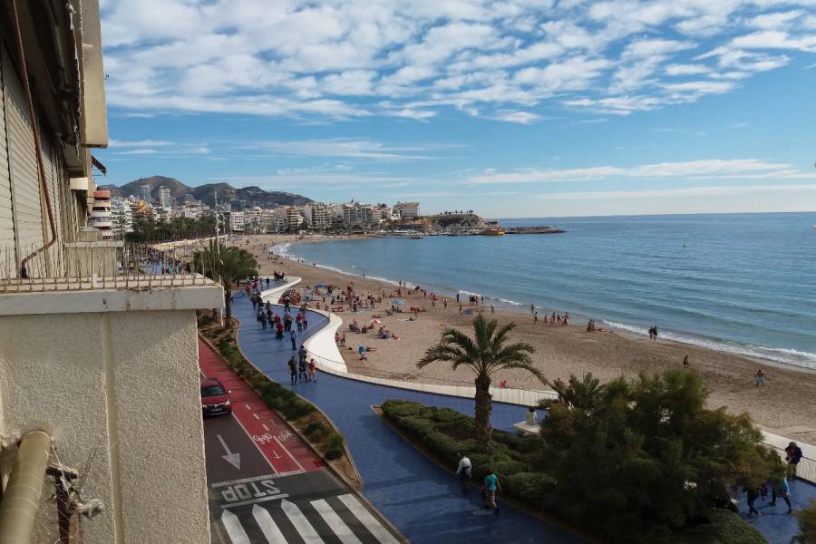 Benidorm,Alicante,España,2 Bedrooms Bedrooms,1 BañoBathrooms,Apartamentos,34060