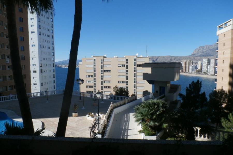 Benidorm,Alicante,España,1 Dormitorio Bedrooms,1 BañoBathrooms,Apartamentos,34069