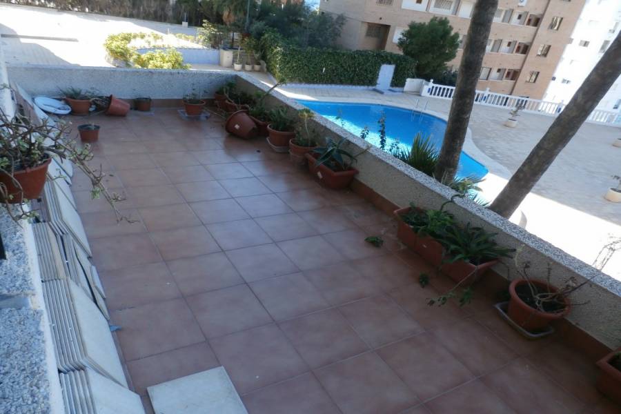 Benidorm,Alicante,España,1 Dormitorio Bedrooms,1 BañoBathrooms,Apartamentos,34069