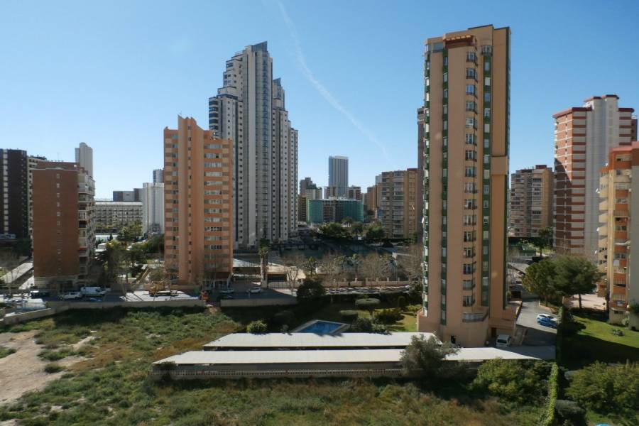 Benidorm,Alicante,España,1 Dormitorio Bedrooms,1 BañoBathrooms,Apartamentos,34085