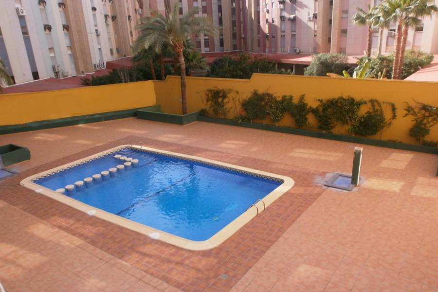 Benidorm,Alicante,España,1 Dormitorio Bedrooms,1 BañoBathrooms,Apartamentos,34092