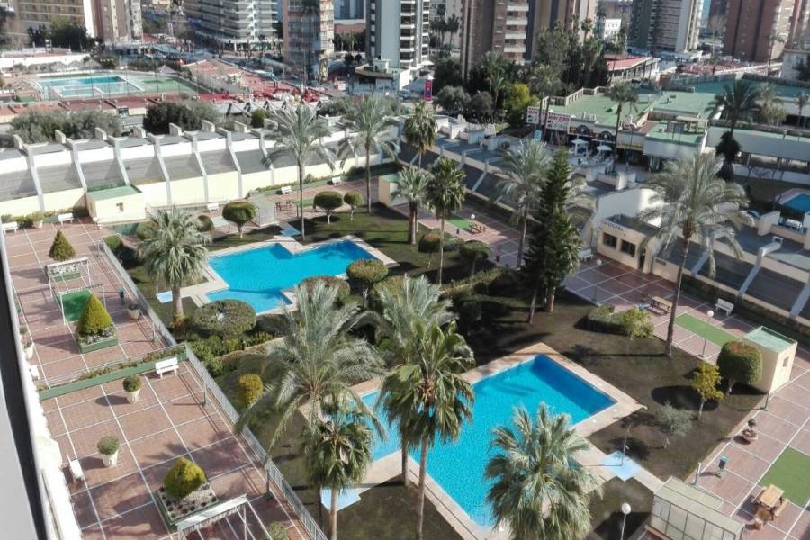 Benidorm,Alicante,España,2 Bedrooms Bedrooms,2 BathroomsBathrooms,Apartamentos,34098