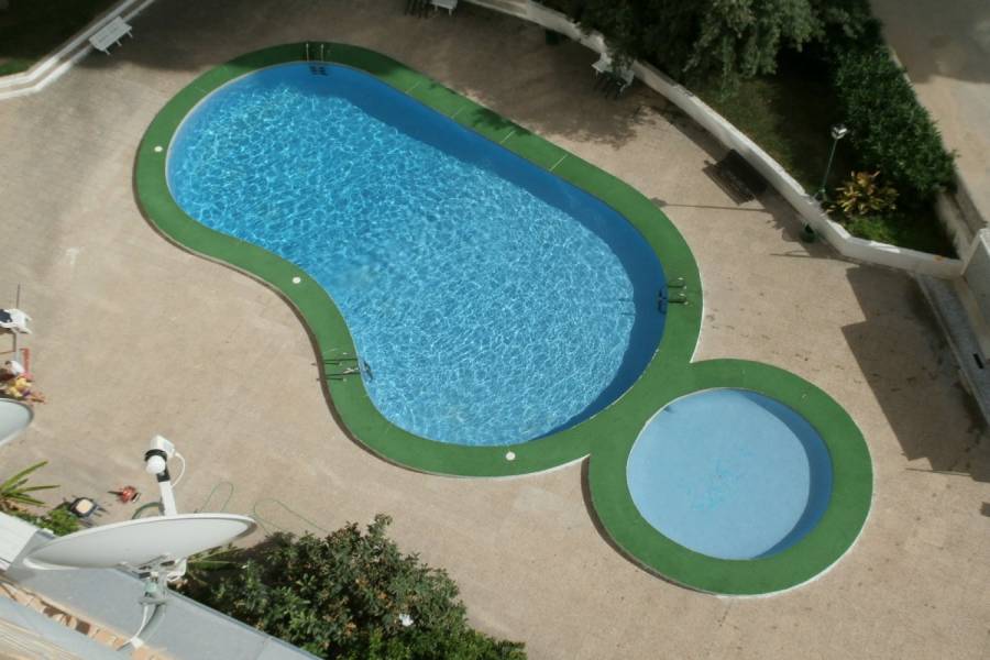 Benidorm,Alicante,España,1 Dormitorio Bedrooms,1 BañoBathrooms,Apartamentos,34099