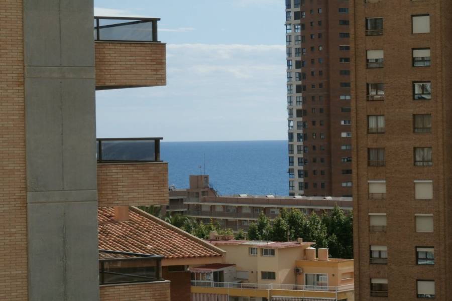 Benidorm,Alicante,España,1 Dormitorio Bedrooms,1 BañoBathrooms,Apartamentos,34099