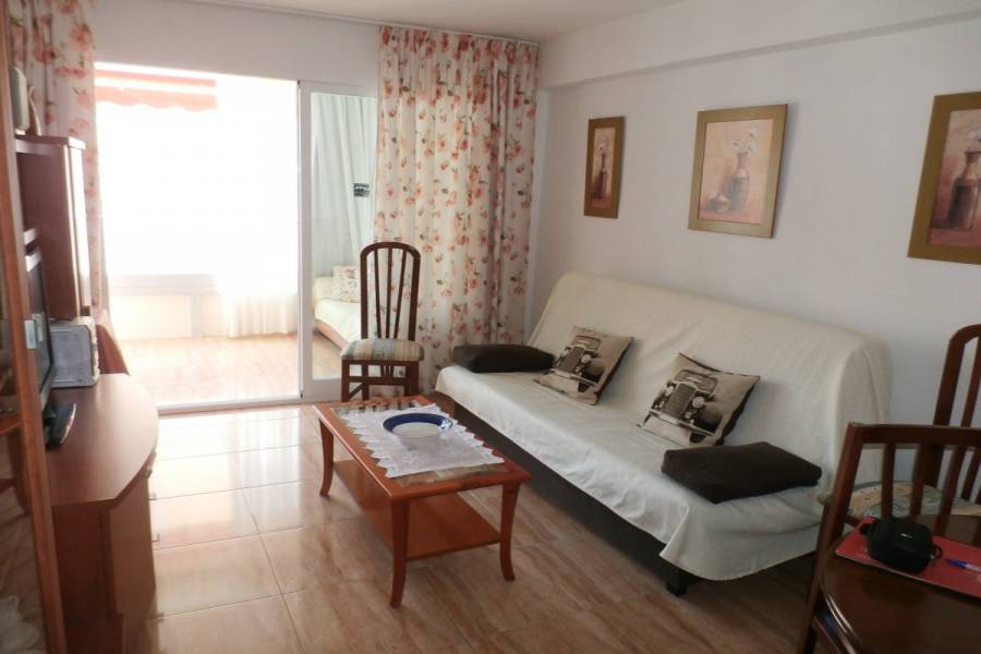Benidorm,Alicante,España,1 Dormitorio Bedrooms,1 BañoBathrooms,Apartamentos,34099