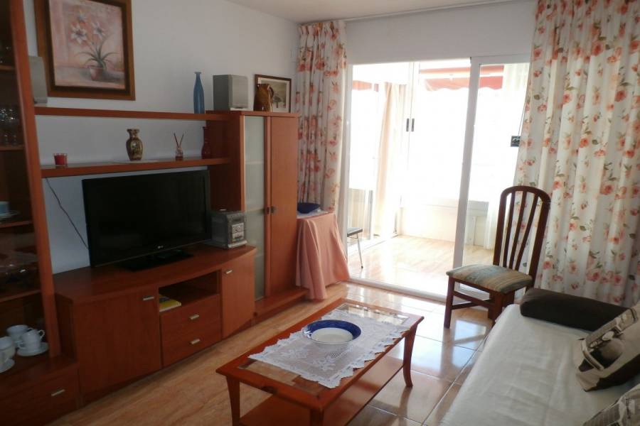 Benidorm,Alicante,España,1 Dormitorio Bedrooms,1 BañoBathrooms,Apartamentos,34099