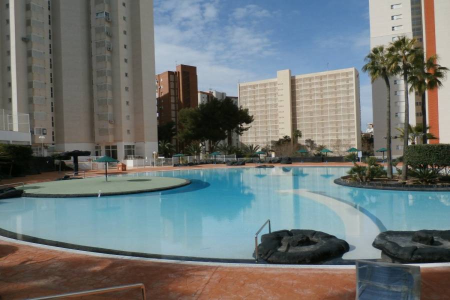 Benidorm,Alicante,España,1 Dormitorio Bedrooms,1 BañoBathrooms,Apartamentos,34108