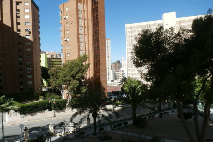 Benidorm,Alicante,España,1 Dormitorio Bedrooms,1 BañoBathrooms,Apartamentos,34108