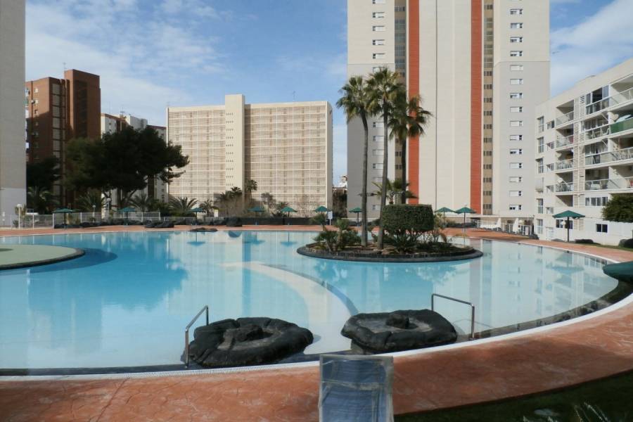 Benidorm,Alicante,España,1 Dormitorio Bedrooms,1 BañoBathrooms,Apartamentos,34108