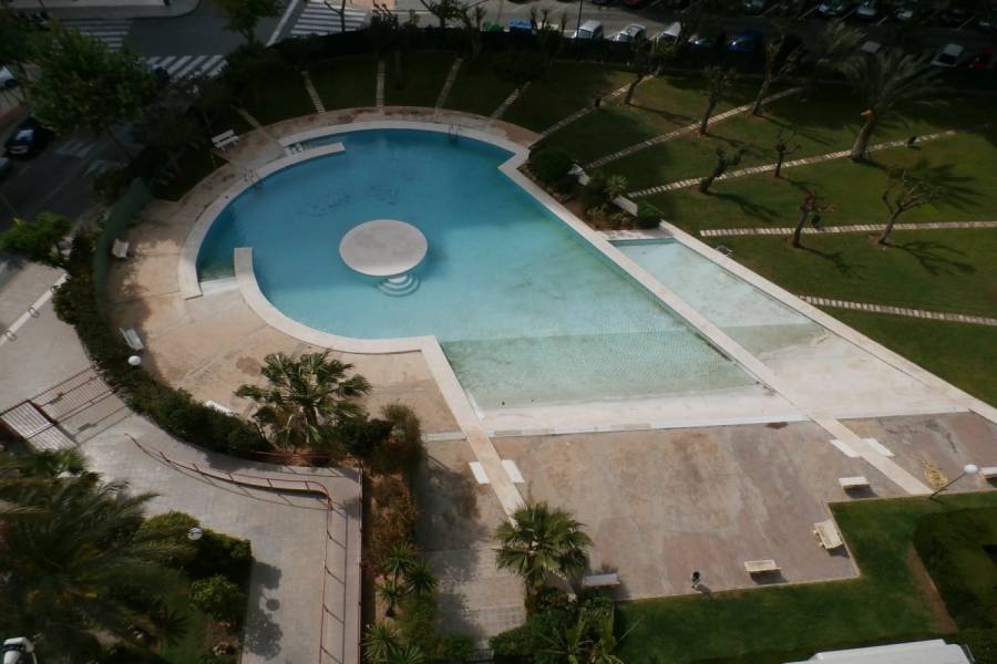 Benidorm,Alicante,España,1 Dormitorio Bedrooms,1 BañoBathrooms,Apartamentos,34119