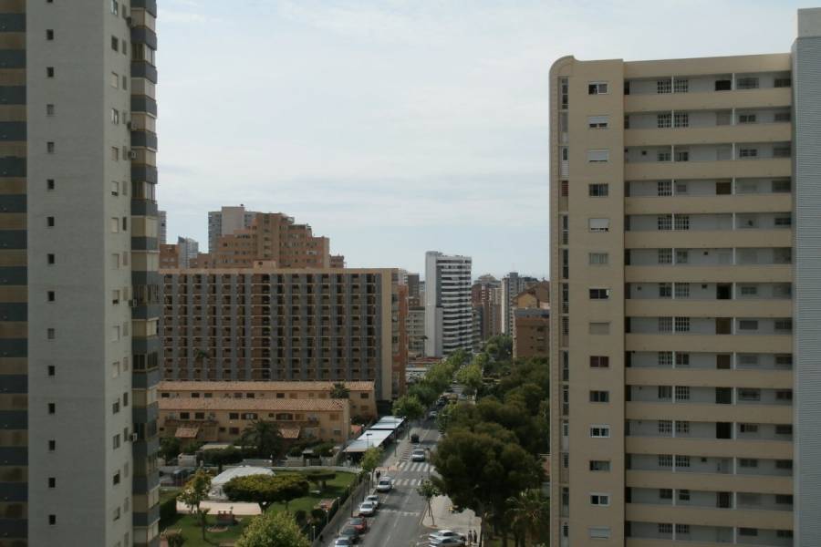 Benidorm,Alicante,España,1 Dormitorio Bedrooms,1 BañoBathrooms,Apartamentos,34119