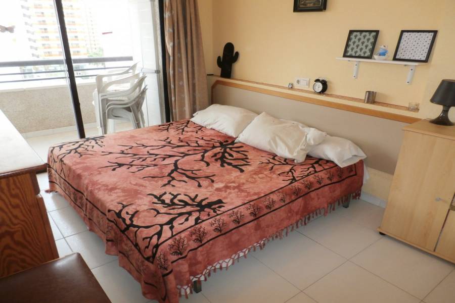 Benidorm,Alicante,España,1 Dormitorio Bedrooms,1 BañoBathrooms,Apartamentos,34126