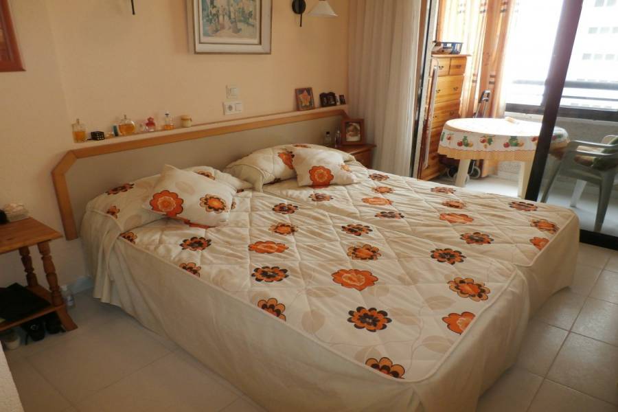 Benidorm,Alicante,España,1 Dormitorio Bedrooms,1 BañoBathrooms,Apartamentos,34127