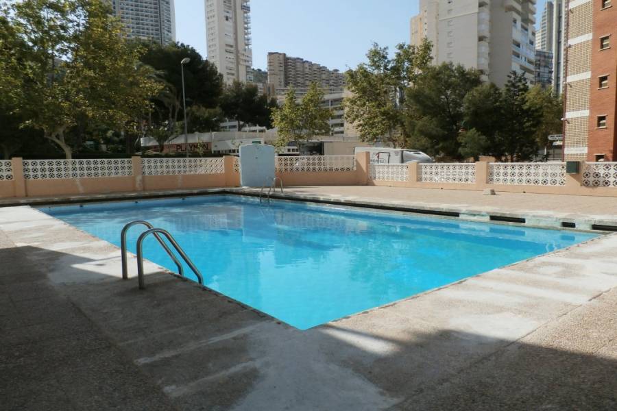 Benidorm,Alicante,España,1 Dormitorio Bedrooms,1 BañoBathrooms,Apartamentos,34131