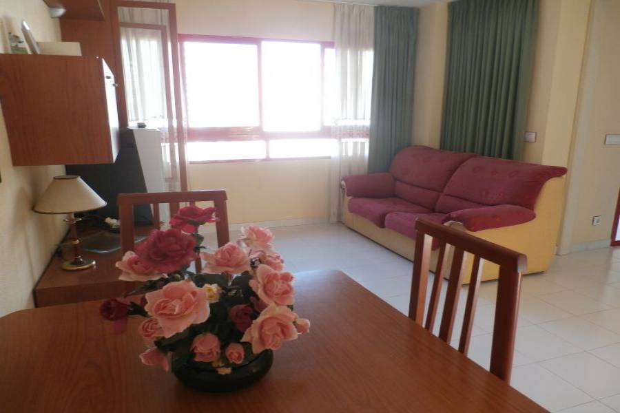 Benidorm,Alicante,España,1 Dormitorio Bedrooms,1 BañoBathrooms,Apartamentos,34133