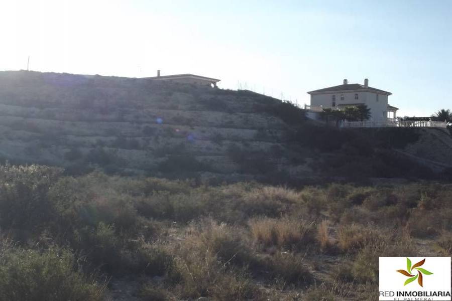 Elche,Alicante,España,Parcela,34146