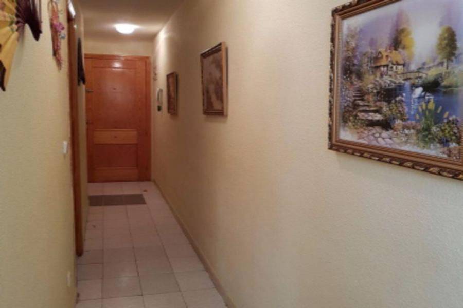 Torrevieja,Alicante,España,1 Dormitorio Bedrooms,1 BañoBathrooms,Apartamentos,3871