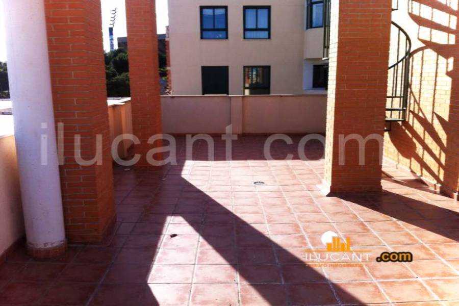 Alicante,Alicante,España,3 Bedrooms Bedrooms,2 BathroomsBathrooms,Atico,34152