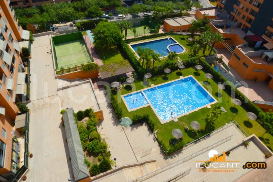 Alicante,Alicante,España,3 Bedrooms Bedrooms,2 BathroomsBathrooms,Atico,34166