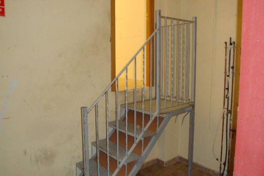 Almoradí,Alicante,España,3 BathroomsBathrooms,Locales,3874