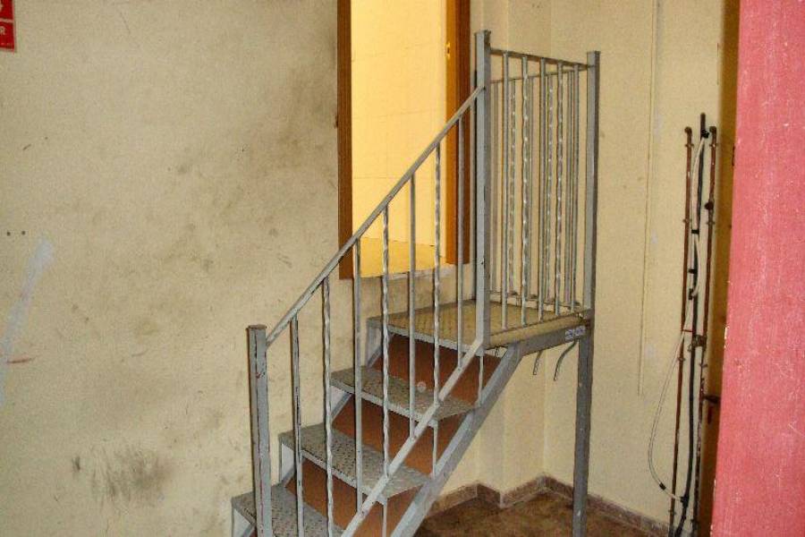 Almoradí,Alicante,España,3 BathroomsBathrooms,Locales,3874